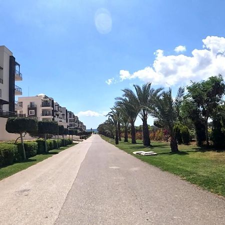 Great Seaview Appartments In Thalassa Vokolidha Экстерьер фото