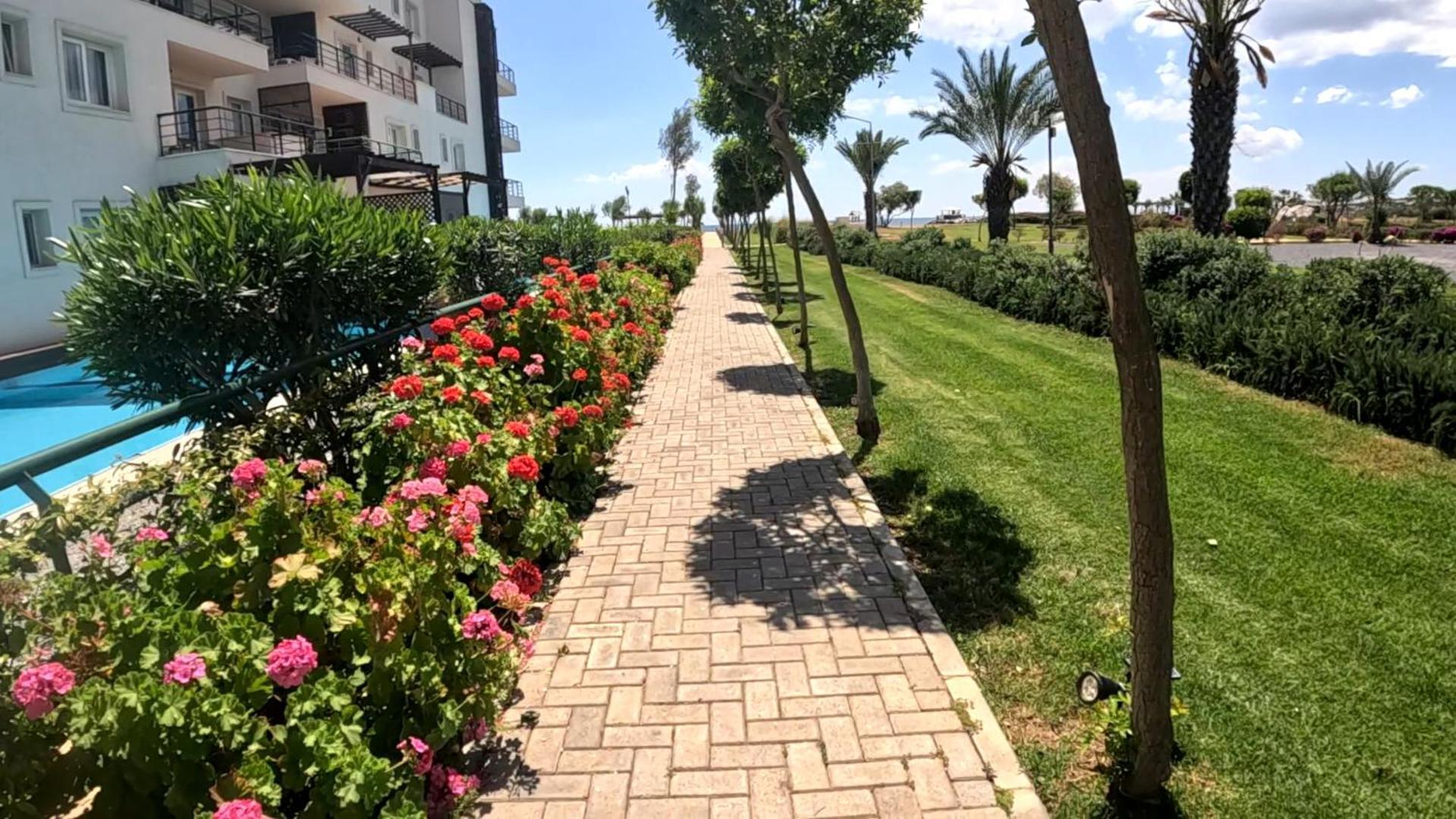 Great Seaview Appartments In Thalassa Vokolidha Экстерьер фото